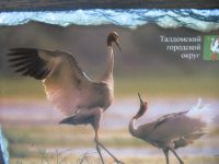 Лот: 17858739. Фото: 2. Панно Плакетка Фото на камне Журавли... Картины, панно