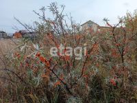 Лот: 25294549. Фото: 10. 1-комн. дача , СНТ Ласточка СНТ...