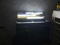 Лот: 10169239. Фото: 5. Действующий аквариум 130 л.