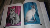Лот: 6600065. Фото: 2. Книга Ваша кошка НОВАЯ!!!. Литература, книги