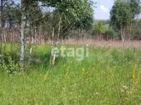 Лот: 25297916. Фото: 7. 3-комн. дача , садоводческое некоммерческое...