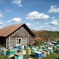 Лот: 18054488. Фото: 6. Таёжный мёд, сбор 2021 года, 600...