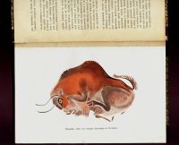 Лот: 11782850. Фото: 14. Книга для чтения по древней истории...