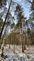 Лот: 25295122. Фото: 12. участок , посёлок городского типа...