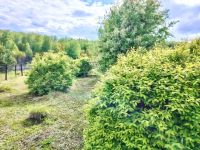 Лот: 25288973. Фото: 15. 2-комн. дача , деревня Красная...