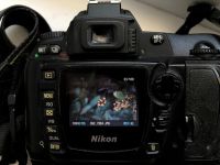 Лот: 17899520. Фото: 5. Nikon D70s body CCD