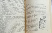 Лот: 25728636. Фото: 4. Михаил Заборский. Советы молодому... Красноярск