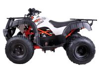 Лот: 25659226. Фото: 5. Квадроцикл KAYO AU150