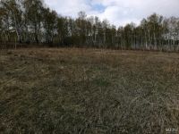 Лот: 9171150. Фото: 4. Земельный участок в Кузнецово... Красноярск
