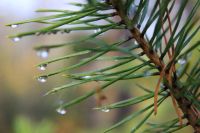 Лот: 5485277. Фото: 5. Canon EF-S 18-55mm f/3.5-5.6 IS...