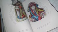 Лот: 10673973. Фото: 3. Анатомический атлас человеческого... Литература, книги