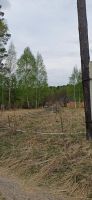 Лот: 19018144. Фото: 3. Участок СНТ Кедр-9 10 соток. Недвижимость