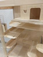 Лот: 19847840. Фото: 3. Витрина грызуны шиншиллы белки... Растения и животные