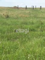 Лот: 25398221. Фото: 6. участок , ДНТ Лужники ДНТ Лужники...