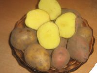 Лот: 16054027. Фото: 2. Картошка (картофель на еду), цена... Продукты