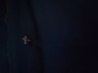 Лот: 25634013. Фото: 2. Темно-зеленое платье(размер 42-44... Женская одежда