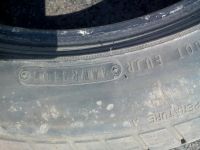Лот: 13802259. Фото: 2. Dunlop sp sport. Шины, Диски