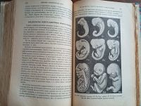 Лот: 24894741. Фото: 16. Г.А.Гурев. Мироведение безбожника...