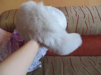 Лот: 4991625. Фото: 3. Шапка из песца. Одежда, обувь, галантерея