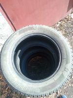 Лот: 24352391. Фото: 6. Шины Bridgestone ICE Cruiser 7000S...