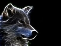 Лот: 3010352. Фото: 3. Наклейка на капот винилография... Авто, мото, водный транспорт