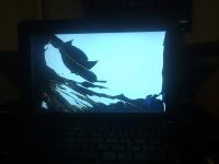 Лот: 7560853. Фото: 3. Asus EeePC 1001PX с разбитой матрицей. Компьютеры, оргтехника, канцтовары