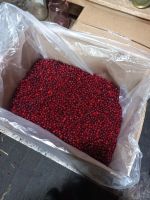 Лот: 16623934. Фото: 2. Брусника. Продукты