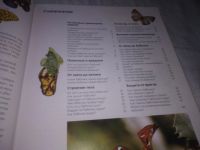 Лот: 20843133. Фото: 3. ок...(209231) Бабочки (Что Есть... Литература, книги