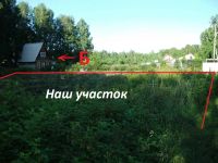 Лот: 3096725. Фото: 5. Продам участок 10 сот. с лесом...
