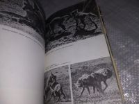 Лот: 18972680. Фото: 6. ван Лавик-Гудолл Дж.и Г. Невинные...