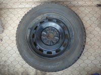 Лот: 3696119. Фото: 2. Шипы на штамповке Dunlop 185/65... Шины, Диски