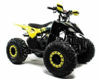 Лот: 25774817. Фото: 7. Квадроцикл MOTOLAND 125 Raptor