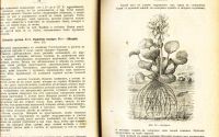 Лот: 18627295. Фото: 18. Н.Ф. Золотницкий . Аквариум любителя...
