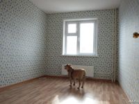 Лот: 9525773. Фото: 4. Сдам 2-ух комнатную квартиру в... Красноярск