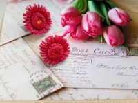 Лот: 18257605. Фото: 5. Резиночки. ручная работа