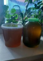 Лот: 20713522. Фото: 2. Мед со своей пасеки !🍯Настоящий. Продукты