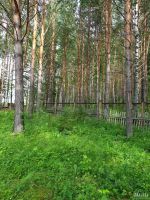 Лот: 13735655. Фото: 4. Дача, земельный участок. Красноярск