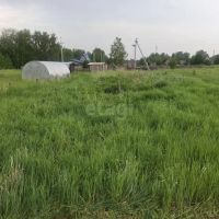 Лот: 25516621. Фото: 4. участок , СНТ Черемшанка 5-я Совхозная... Красноярск