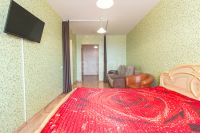 Лот: 25738086. Фото: 12. 1-комн. квартира , Красноярск...