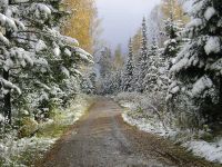 Лот: 2968410. Фото: 5. дача (Крючково-Водораздел)