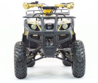 Лот: 25659399. Фото: 8. Квадроцикл MOTOLAND 250 Adventure...