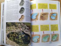 Лот: 25888863. Фото: 3. Хессайон Д.Г. Все об альпинарии... Литература, книги