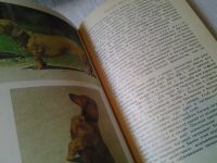 Лот: 5869989. Фото: 3. Ваши домашние четвероногие друзья... Литература, книги