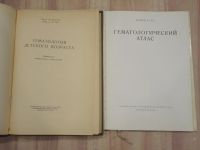 Лот: 21971377. Фото: 2. 2 книги гематология детского возраста... Медицина и здоровье