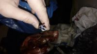 Лот: 8318340. Фото: 2. Уплотнитель (резина) черный для... Двери, окна, фурнитура