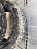 Лот: 25333024. Фото: 2. Шины Torero(Matador) MP47 195... Шины, Диски