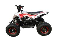 Лот: 25659167. Фото: 3. Квадроцикл MOTAX Gekkon 90cc. Авто, мото, водный транспорт