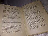 Лот: 13314302. Фото: 4. Исаак Шнейдерман. Мария Гавриловна...