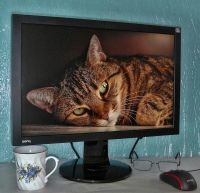 Лот: 16324451. Фото: 3. Монитор 20" входы DVI и VGA, есть... Компьютеры, оргтехника, канцтовары