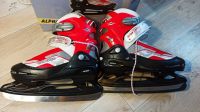 Лот: 16989406. Фото: 2. Коньки Alpha Caprice PW-185, 38-41... Спортивные товары